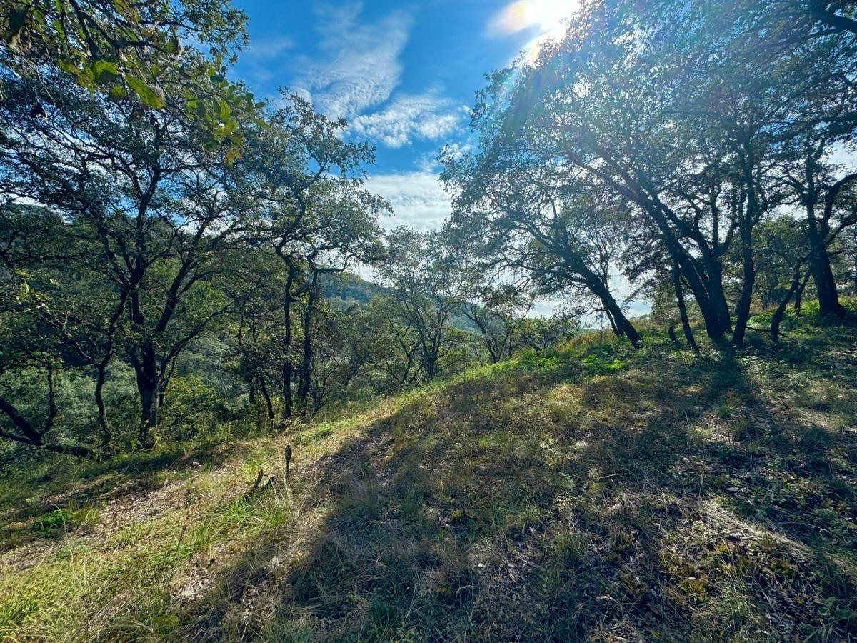 Sale of Lot 71, Block 6, Fraccionamiento Campestre, Villa del Carbón