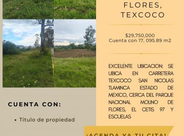 Terreno / Lote , Texcoco · ¿Estás Buscando Una Oportunidad Real Para Invertir o Construir Algo Propio?