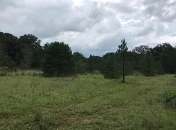 Terreno / Lote en Venta  Paxtepec la Villita · Terreno Campestre en El Bosque