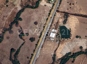 Terreno / Lote · 50000m² · Parcela en Renta en Buenavista, cuauhtémoc, Colima