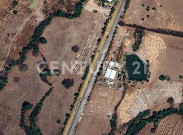 Terreno / Lote · 50000m² · Parcela en Renta en Buenavista, cuauhtémoc, Colima