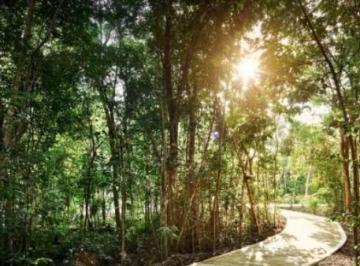 Terreno / Lote · 327m² · Terreno en Fraccionamiento Ciudad Mayakoba en Venta