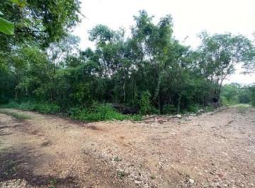 Terreno / Lote · 1290000m² · Terreno en Pueblo Yalcon, Valladolid, Yucatán en Venta