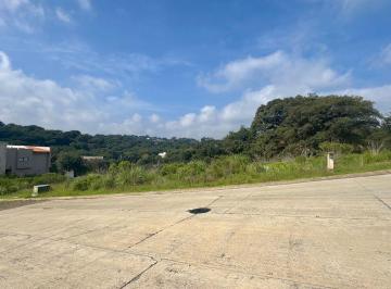 Terreno / Lote , Atizapán de Zaragoza · Terreno en Venta en Rancho San Juan, Atizapán de Zaragoza