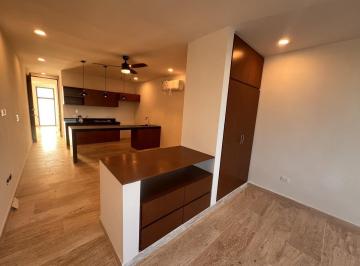 Departamento · 50m² · 1 Estacionamiento · Renta Estudio/departamento 4to Nivel con Amenidades Sodzil Norte