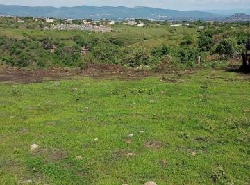 Terreno / Lote · 10030m² · Terreno en Santa Ursula