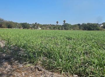 Terreno / Lote · 13000m² · Terreno en Venta Poza Honda Zacatepec Morelos.