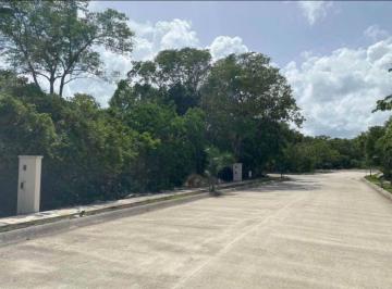 Terreno / Lote , Solidaridad · Terreno Venta Residencial