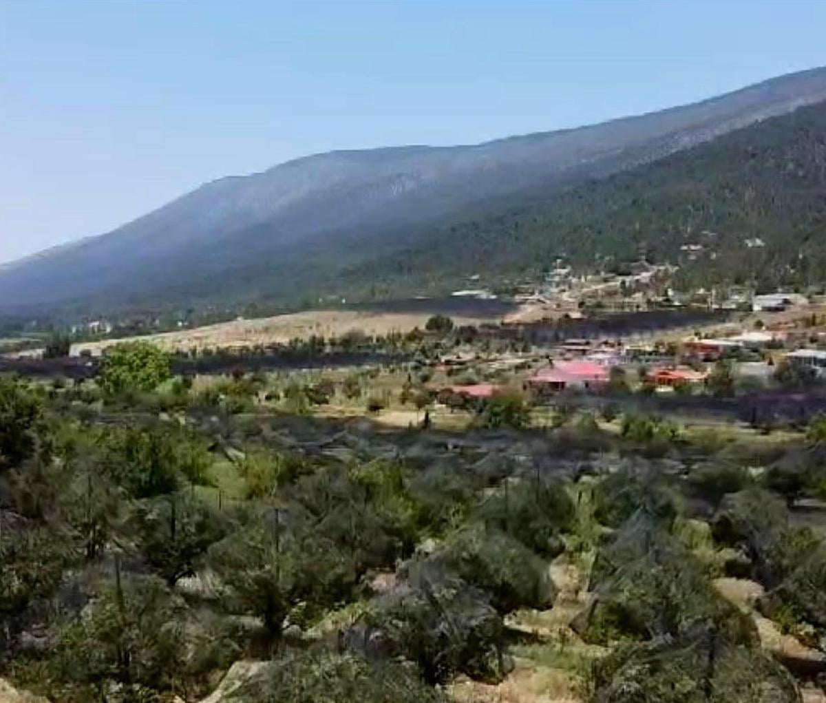 Terreno en Venta en Arteaga Coahuila con Mas de 250 Manzanos Maduros