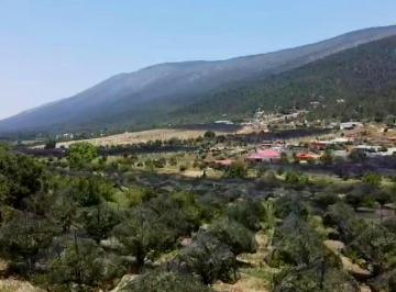 Terreno / Lote · 18397m² · Terreno en Venta en Arteaga Coahuila con Mas de 250 Manzanos Maduros