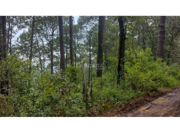 Terreno / Lote , Valle de Bravo · Terreno en Venta Paso Hondo/cerro Gordo/valle de Bravo