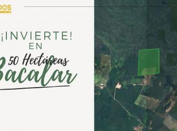 Terreno / Lote , Bacalar · Terreno de 50 Hectáreas en Venta | Bacalar, Quintana Roo | Excelente Oportunidad de Inversión