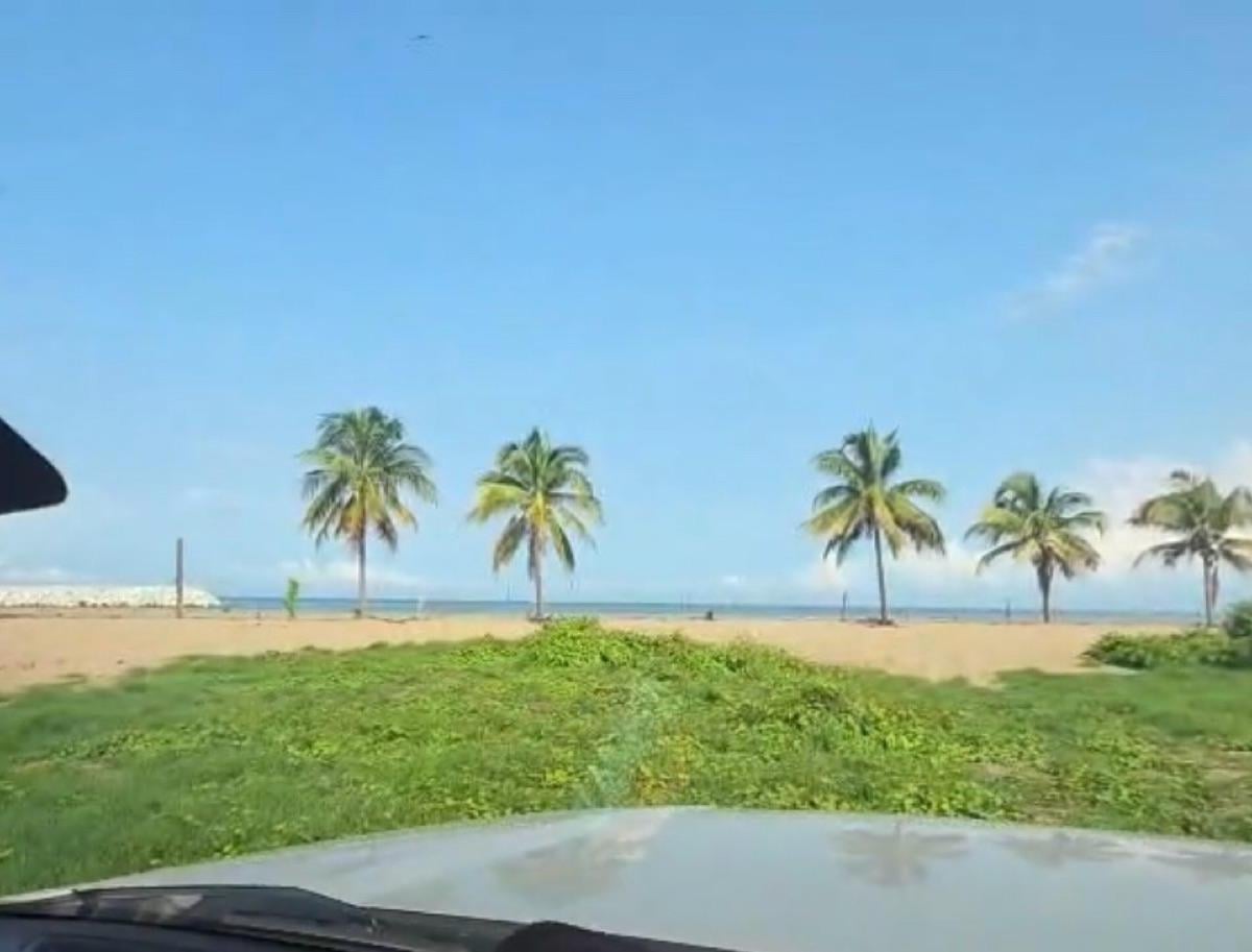 Land Plot - Ejido Zacualpan