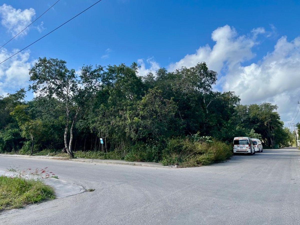 Investment Opportunity in Tulum