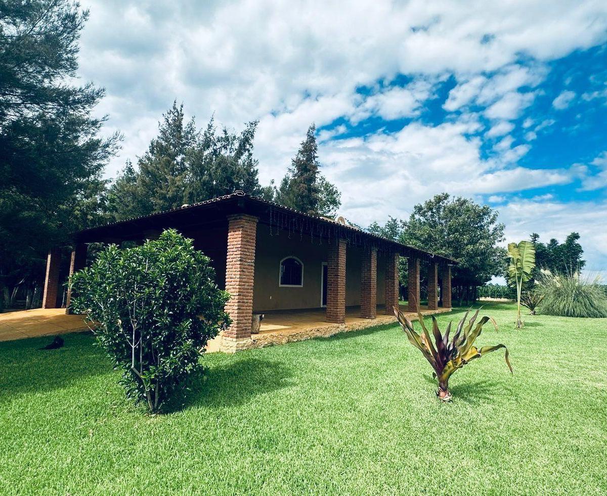 Land for Sale in Zapotlanejo