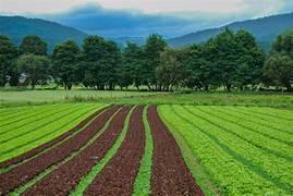 Terreno / Lote · 300m² · Terreno en Venta en Ixtapaluca, Estado de Mexico