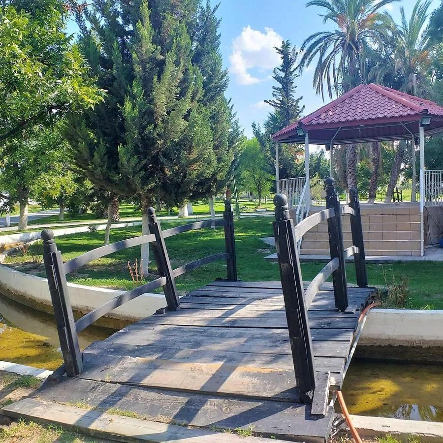 Land for Sale in San Armando, Torreón, Coah