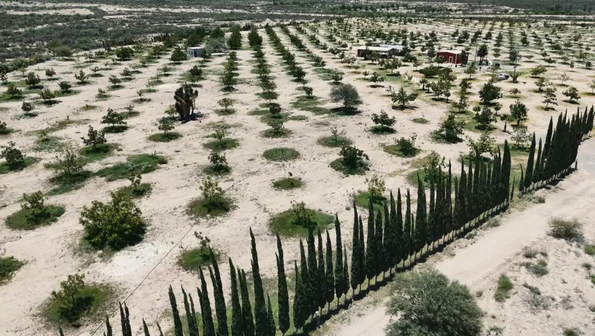 Ranch for Sale in Parras