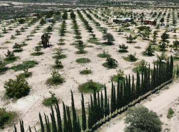 1 · Rancho en Venta en Parras