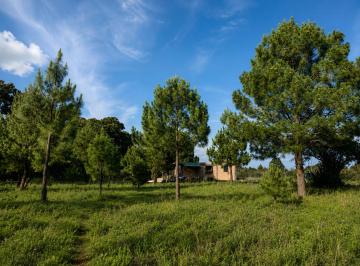Casa de 2 habitaciones, Amealco de Bonfil · Cabaña Rústica en Amealco de Bonfil con Terreno Boscoso de 1 Hectárea