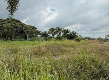 Terreno / Lote , Emiliano Zapata · Venta de Terreno en Clúster Residencial