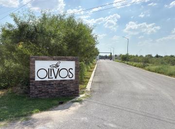 Terreno / Lote , Monclova · Los Olivos, Fraccionamiento Venta de Lotes.