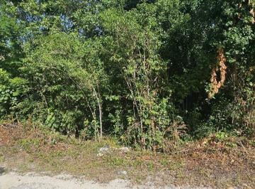 Terreno / Lote · 300m² · Vendo Terreno con Secion de Derechos