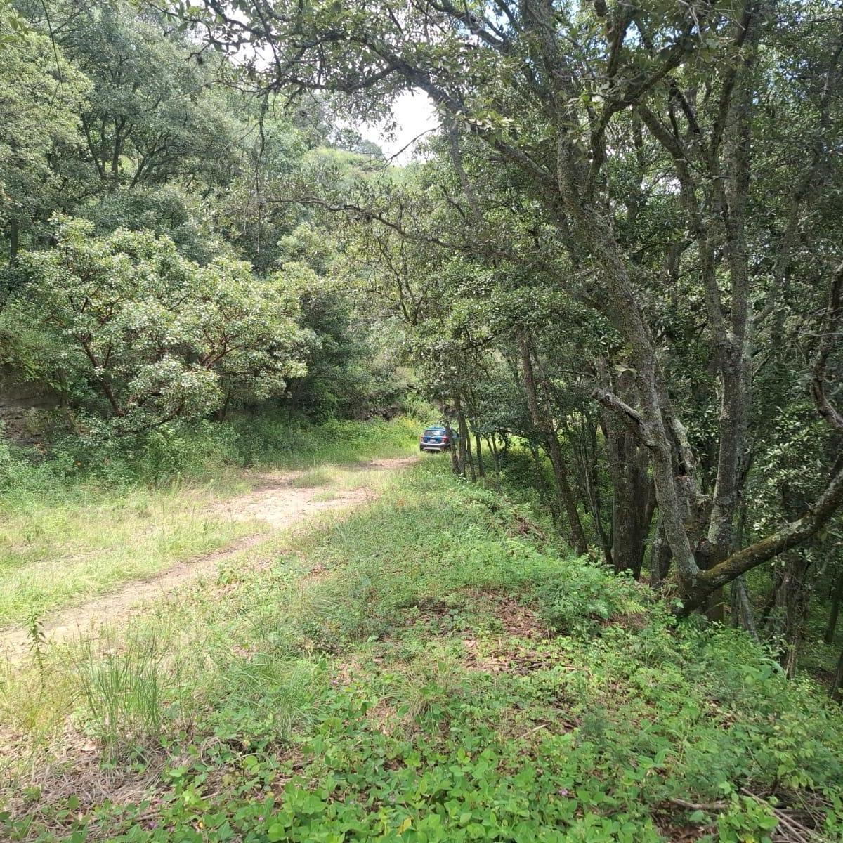 Land for Sale in Campestre Subdivision, Lot 57, Block 6, Villa del Carbón