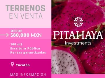 Terreno / Lote , Oxkutzcab · Terreno en Yucatan Que Genera Rentas