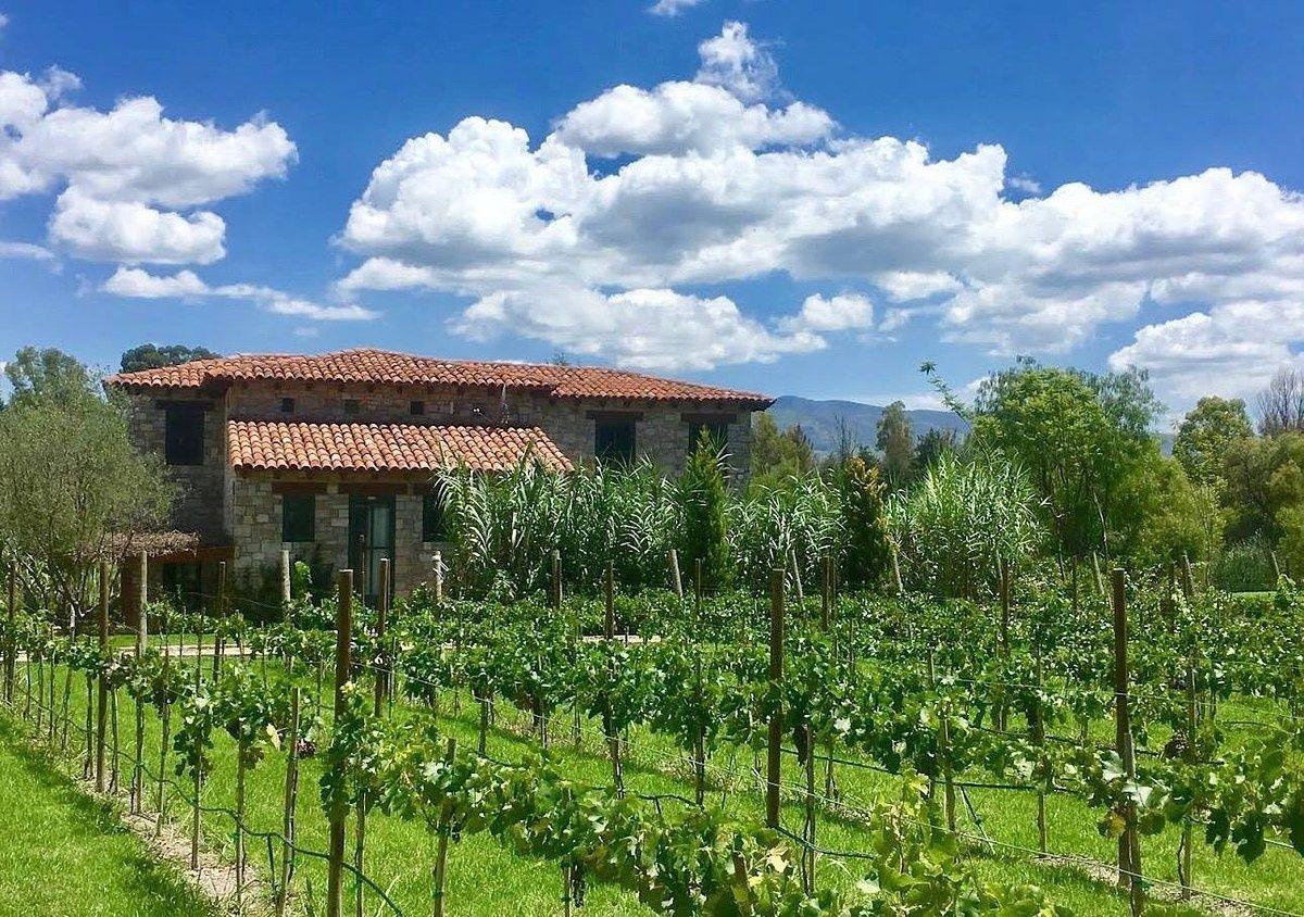 For Sale: Land in Viñedo San Lucas - San Miguel de Allende