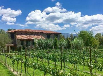 34716884cde9d2a88079c616e57ce029ead0bc5305884e76a74112c38c47f0a0 · A La Venta Terreno en Viñedo San Lucas - San Miguel de Allende