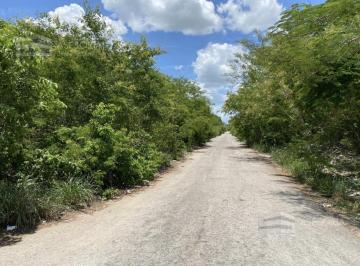 Terreno / Lote · 1100m² · Terreno en Venta en Xcanatúna Tres Cuadras de La Hacienda Xcanatún