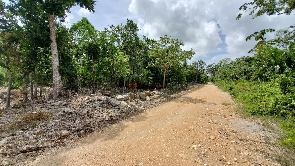 10-Hectare Land for Sale Next to Xenotes Park in Playa del Carmen