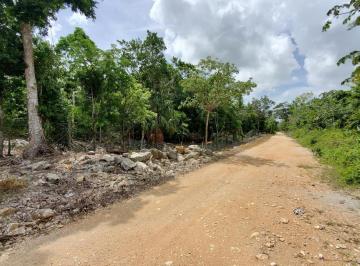 CALLE · Terreno en Venta a Lado de Parque Xenotes de 10 Ha en Playa del Carmen