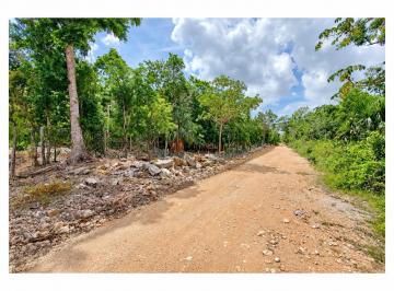 Calle , camino de terracería · Terreno en Venta a Lado de Parque Xenotes de 10 Hectáreas en Playa del Carmen