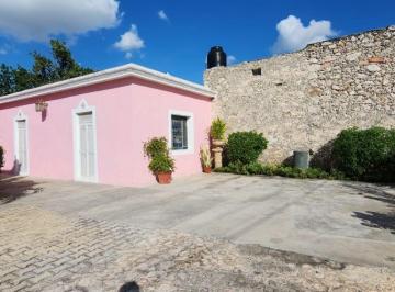 Departamento de 1 habitación, Mérida · Departamento Amueblado Para 1 Ocupante Equipado con Todos Los Servicios Incluidos Centrico