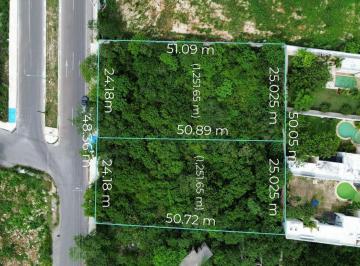 Terreno / Lote · 2503m² · Terreno en Renta en Temozón Norte Cerca Cabo Norte