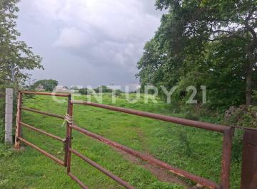 Terreno / Lote · 50000m² · Renta de Parcela en Buenavista, Cuauhtémoc, Colima