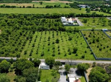 Terreno / Lote en Venta Canoas · Lotes Campestres en Venta en Montemorelos, Nuevo León