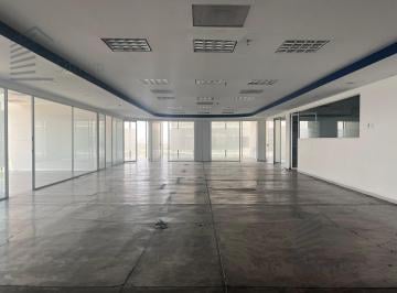 Oficina · 584m² · 19 Estacionamientos · Oficina en Renta - Paseo de La Reforma - 584.4 m² - Piso 6