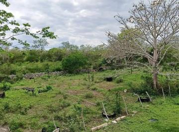 1 · Rancho de 120 Hectáreas Sobre Carretera Izamal–valladolid