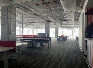 Oficina · 2111m² · 70 Estacionamientos · Oficina en Renta - Carso Polanco - Piso 11 - 2,111 m²