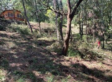 Terreno / Lote , Mazamitla · Terreno en Venta en Mazamitla