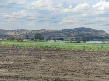 Terreno / Lote , Tala · Terreno en Venta - 6 Hectáreas en Tala, Jalisco - Listo Para Escriturar