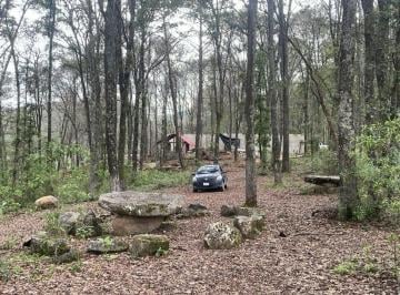 Terreno / Lote , Huasca de Ocampo · Hectárea Boscosa en Bermúdez, Huasca – ¡Propiedad Privada Escriturada!