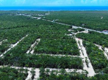 Terreno / Lote · 160m² · Terreno en Remate de Oportunidad en Tulum Centro, Quintana Roo