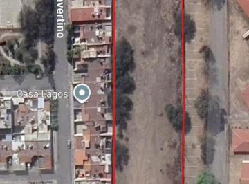 Terreno / Lote , Lagos de Moreno · Terreno en Venta con Excelente Ubicación