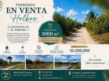 3d0e83ddd257e4d05f5ba6ef871fe97f7d1dcadeb2c09c34b0df0fdb6c77b541 · Terreno en Venta Holbox