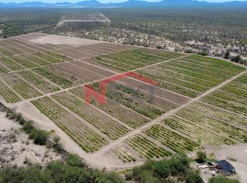 Foto principal · Campo Agricola en Renta en Pesqueira