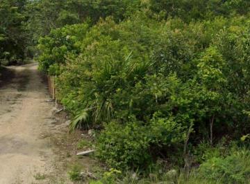 Terreno / Lote , Tulum · Terreno en Jacinto Pat